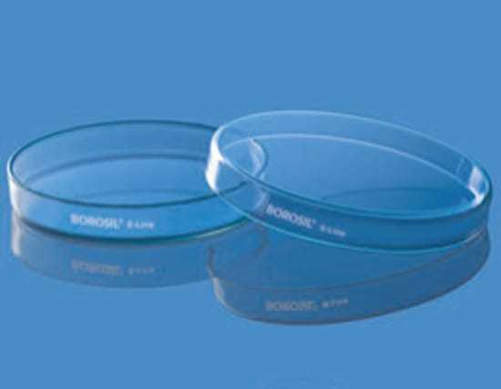 10%20PCS%20Borosilicate%20Petri%20Dishes%20With%20Lid%20And%2010%20Pcs%20Transfer%20Pippet,%2080mm%20x%2015mm%20Sterile%20Petri%20Dishes%20For%20Bioresearch%20Science%20Art%20Projects%20-%20Image%207