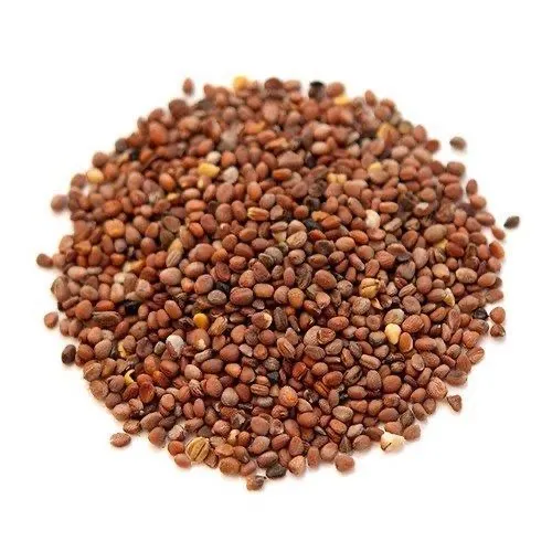 Chamsur%20Ko%20Dana%20500%20Gm%20Garden%20Cress%20Seed%20-%20Image%203