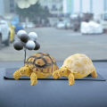 Aomeidaju Sulcata Tortoise Mold Vivid Aquarium Ocean Marine Animals Model Education Kids Toy. 