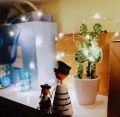 Wine Bottle Cork Copper String Fairy LED Lights. 