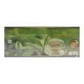 Kte Organic Green Tea 25 Tea Bags. 