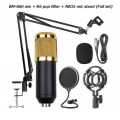 Professional Studio Condenser Sound Recording Microphone set. 