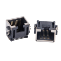 Rj45 Female Socket[1 pcs]. 