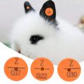 100Pcs Plastic Animal Livestock Ear Tag for Rabbit Fox Dog (Orange). 