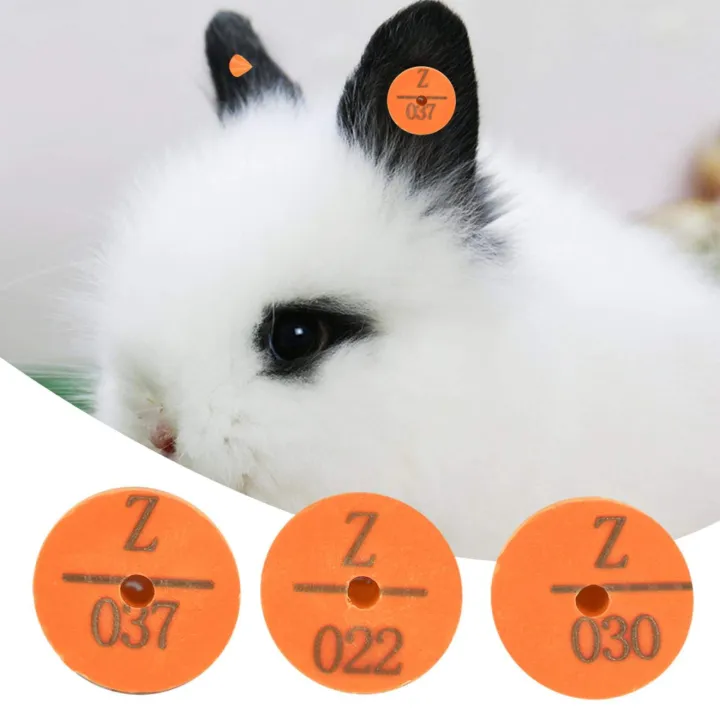 100Pcs%20Plastic%20Animal%20Livestock%20Ear%20Tag%20for%20Rabbit%20Fox%20Dog%20(Orange)%20-%20Image%205
