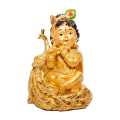 Little Krishna Statue. 