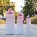 3 in 1 Piece Bottle Set Motivational BPA Free Leak Proof Eco-Friendly Plastic Gym Sports Portable Water Bottle with Stickers & Handle. 