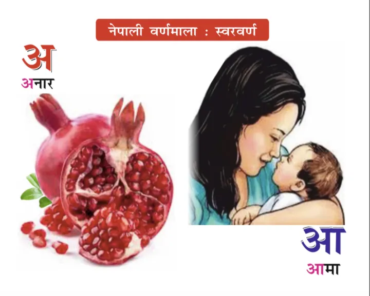 My%20First%20Little%20Librarian%20:%20One%20Nepali%20Varnamala%20Plus%2010%20Board%20Book%20for%20Kids%20Age:%200%20to%203%20(Preschool%20/%20Toddler)%20%20My%20First%20Library%20of%20Learning%20Library%20.%20-%20Image%205