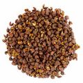 Timbur 100Gm Timur Himalayan Pepper - 100 Gm. 