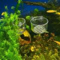 3 PCS Polka Type Acrylic Glass Pot Fish Tank Planted Tank Breeding Basin Water Plant Landscape Cup Plant Cup Holder Mini Cup. 