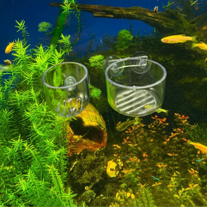 3%20PCS%20Polka%20Type%20Acrylic%20Glass%20Pot%20Fish%20Tank%20Planted%20Tank%20Breeding%20Basin%20Water%20Plant%20Landscape%20Cup%20Plant%20Cup%20Holder%20Mini%20Cup%20-%20Image%207