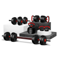 SPN-s Adjustable Dumbbell Set - 20 kg Home Gym Equipment | 2 In 1 Extendable Rod Dumbbell Set | Home Gym Accessories ( Kettlebell Optional ). 