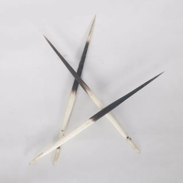 Dumsiko%20Kada%203%20Pcs%20Set%20%7C%20Dumsi's%20Thorn%20%7C%20for%20Bratabandha%20%7C%20Puja%20Saman%20-%20Image%205