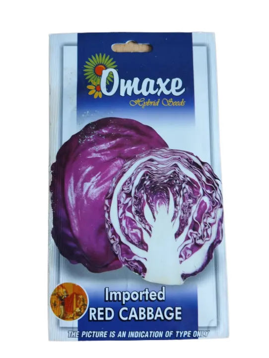 Hybrid Imported Red Cabbage Vegetable Seed 50 Seeds रातो बन्दा | Daraz ...