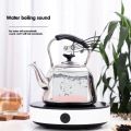 2L Stainless Steel Whistling Tea Kettle Boiling Water & Tea Induction Stove Gas Stove Top. 