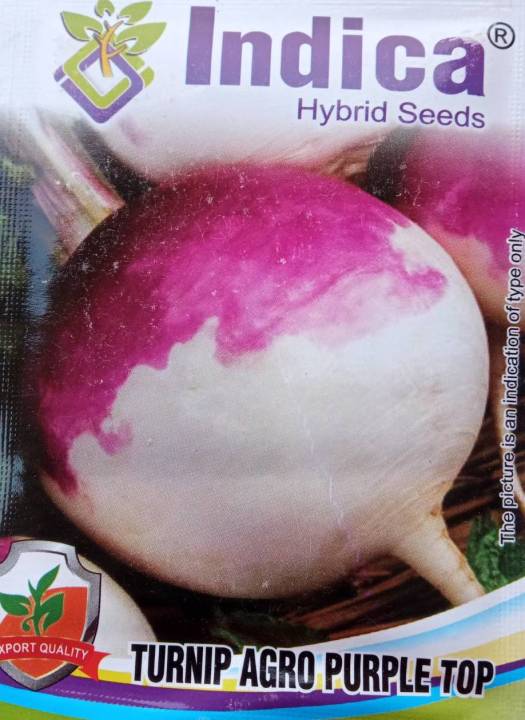 Vegetable Seeds - Turnip Seeds (SALGAM) Purple Package of 10 gram