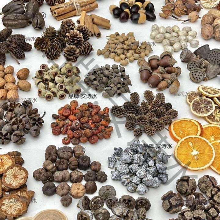 Wood Chips DIY Flower Kit Chenmai Fruit Shell Material Taibao Acorn Dried Handmade Photo Frame Plant Specimen Pine Cone