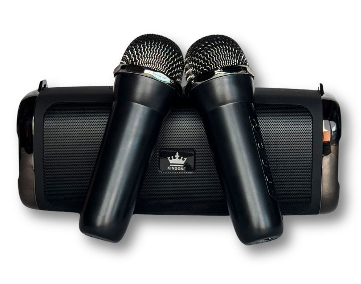 Portable Karaoke Bluetooth Speaker With Double Wireless Microphone ...