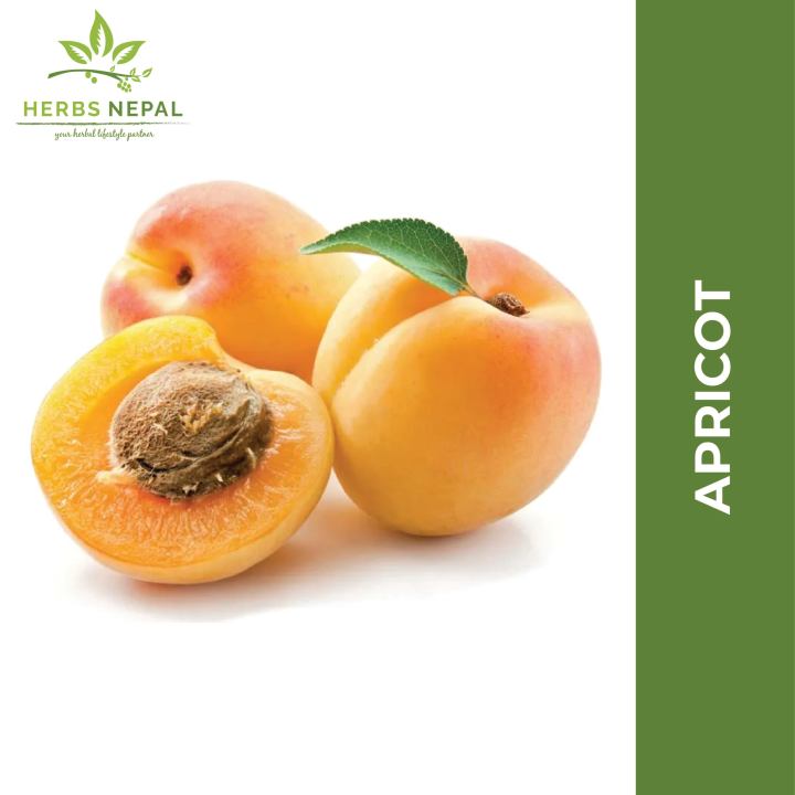Apricot Dried 200 Gms / Herbs Nepal