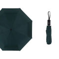 Penasfe Fully Automatic Sun Protection Umbrella Compact Folding Uv Protection Umbrella Auto Open Windproof Parasol for Travel Sun Rain. 