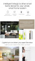 Tuya Smart WiFi Door Window Alarm Sensor. 