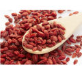 ShopWholly Premium Goji Berries / Gojiberry / Dried Goji Berries �� – Rich in Antioxidants & Vitamins – 100g / 200g/ 500gm. 