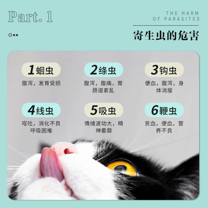 High-end%20tofu%20cat%20litter%20wholesale%20mixed%20cat%20litter%20manufacturers%20bentonite%20dust-free%20deodorant%20cat%20litter%20deodorant%20beads%20cattery%20pets%20-%20Image%206