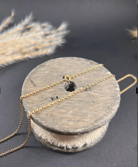 1%20Pieace%20Elegant%20and%20Minimalist%20Gold%20Beaded%20Chain%20Necklace%20with%20Delicate%20Detailing%20%E2%80%93%20Timeless%20Lightweight%20Jewelry%20for%20Everyday%20Wear%20and%20Special%20Occasions.%20-%20Image%204