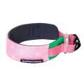 Dog Collar Adjustable Nylon Necklace Accessories Personalized Small Medium Large High Quality Padded Dogs Leads Pet Products. 