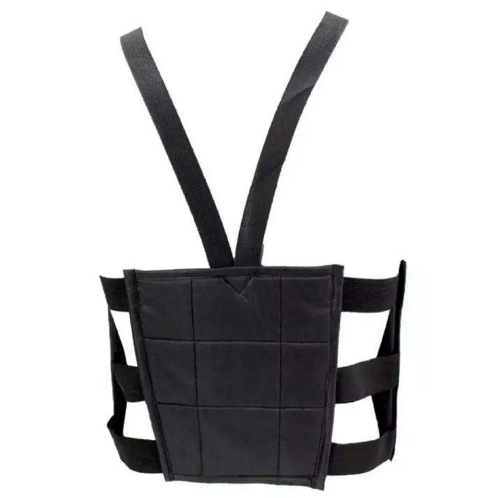Chest%20Guard%20For%20Safety%20Bikers%20-%20Image%203