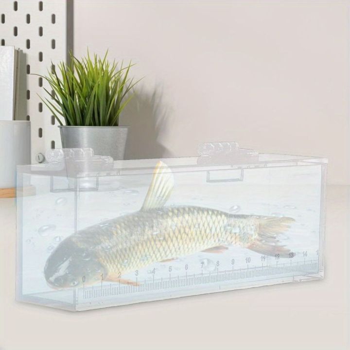 Portable Transparent Fish Viewing Box Micro Landscape Mini Acrylic Fish ...