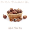 Soapnuts Dry (Ritha) - 1 kg. 
