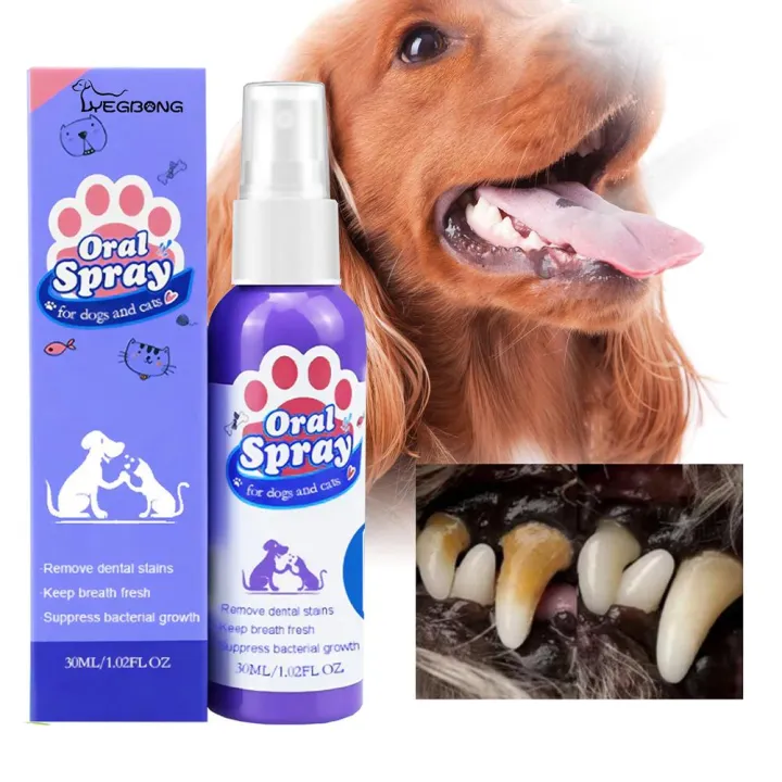 Pet Dental Spray Reduces Plaque Tartar Buildup Dog Spray 30ml Teeth