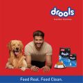 Drools Kitten Ocean Fish Dry Cat Food - 3Kg By HAMROPETS. 