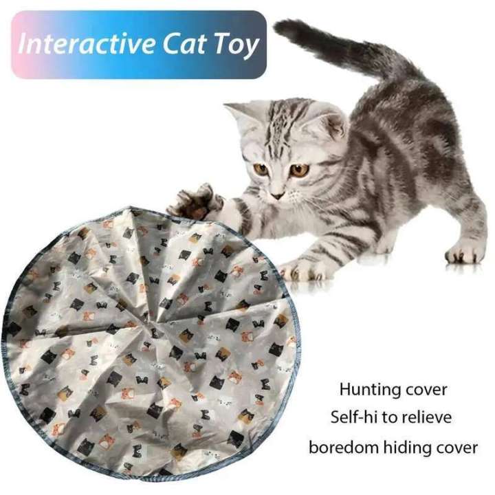 Hunting%20Cover%20Cat%20Toys,Hide%20and%20Seek%20Kitten%20Toy,%20Interactive%20Motion%20Activated,Cat%20Exercise%20Toy,for%20Indoor%20Cats/Kitty%20-%20Image%202