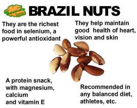 Bhumi%20Nepal%20Brazil%20Nuts%20500g%20(Rich%20in%20Selenium%20%7C%20Superfood%20%7C%20Have%201%20Daily)%20-%20Image%202
