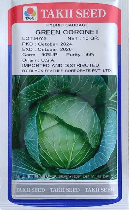 Green Coronet Hybrid Cabbage Vegetable Seeds 10gm
