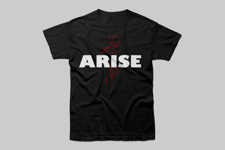 Solo Leveling "ARISE" Graphic Design | printed T-Shirt