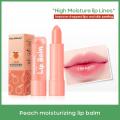 Peach Lip Balm – Natural Moisturizing Lip Care Multipack | Hydrating & Nourishing Organic Lip Moisturiser with Fruity Scent | Soothes Dry, Chapped Lips | 3.5g (Peach). 