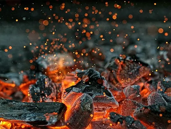 1KG%20Natural%20Stone%20Coal%20No%20Smoking%20Wood%20Charcoal%20for%20Barbecue/%20Grilling%20(%E0%A4%95%E0%A5%8B%E0%A4%88%E0%A4%B2%E0%A4%BE)-1KG%20-%20Image%203