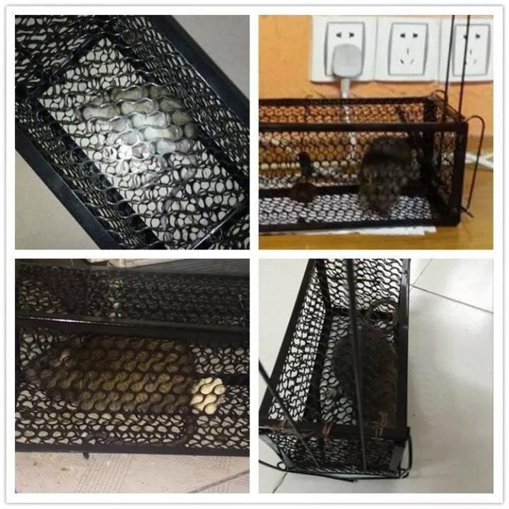 Rat%20Cage%20Mice%20Rodent%20Animal%20Control%20Catch%20Bait%20Mouse%20Trap%20-%20Image%205