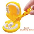 Dental Education Model Brushing Tooth Teaching Study Toy Giraffe Demo Model For Children Early Learning Kids Dental Gifts. 