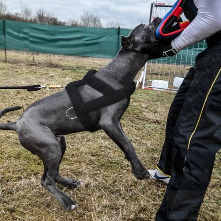 HOT%20Dog%20Weight%20Pulling%20Harness%20Soft%20Padded%20Dogs%20Harnesses%20Pitbull%20Big%20Large%20Dogs%20Training%20Harness%20Pet%20Agility%20Products%20-%20Image%207