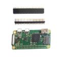 Raspberry Pi Zero W[1 pcs]. 