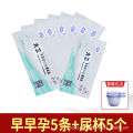 David Pregnancy Test Strips Pregnancy Test Strips Pregnancy Sticks High Precision Pregnancy Test Strips Rapid HCG Pregnancy Test Strips. 