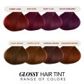 Paradyes No Bleach Velvet Burgundy Glossy Hair Tint - Ammonia-Free for Formula Visible on Natural Black Hair, Includes Anti-Fade Conditioner for Long-Lasting Shine, 1 Count. 