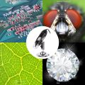 1600X USB Digital Microscope Magnification Microscope Camera HD Digital Microscope Compatible for Window 7/8/10 ,Handheld USB Microscope. 