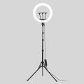 Diameter Ring Light For Professional Video Maker- With 5208 Tripod Stand, Cell Phone Holder Dimmable 3 Light Modes For Live Stream, Makeup, Facebook, Youtube, Instagram,Tiktok, Twitter. 