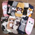DISICHEN New style 5/1pairs Cartoon Cat printing Socks Women Cute Funny 3D Animal Paw Stockings Cotton Harajuku Kawaii Ankle Sox Calcetines. 