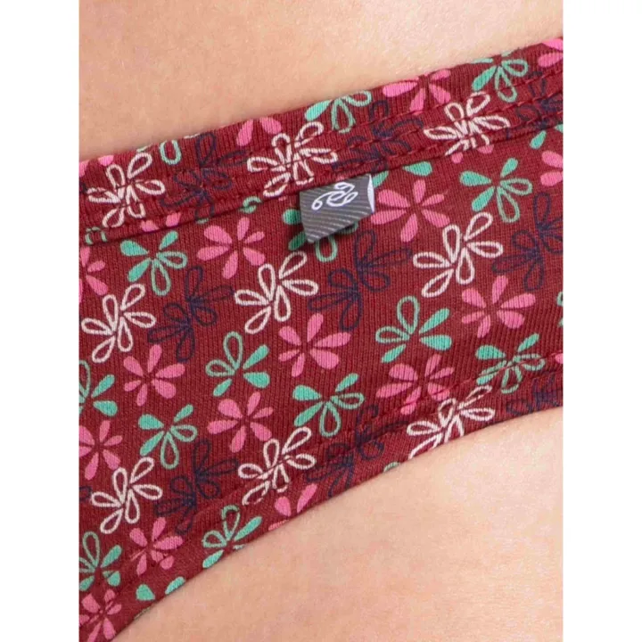 Jockey%20(Pack%20of%203)%20Women's%20Cotton%20Panties(Color%20May%20Vary)%20-%20Image%205